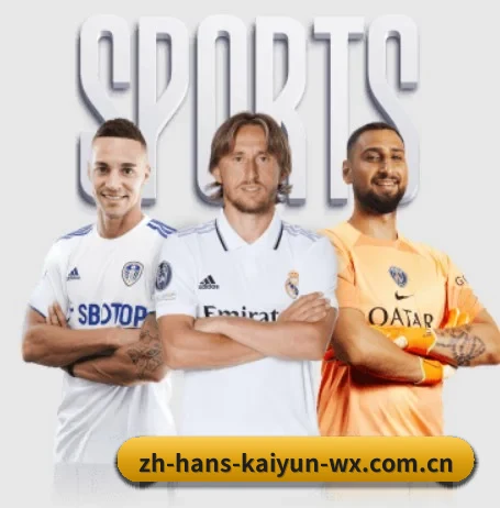 开云体育 APP - KAIYUN SPORTS